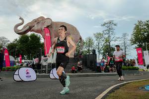 BIB: 
                            <button type="button" onclick="openModal(26528873)" class="btn btn-primary btn-sm float-right btn-popup" data-toggle="modal" data-target=".modal-high-quality">
                        <i class="fas fa-shopping-cart"></i> Add to Cart
                    </button>
                                            <button type="button" onclick="isThisMe(26528873, true)" class="btn btn-success btn-sm float-right btn-popup btn-isme hidden" data-toggle="tooltip" data-placement="bottom" title="นี่คือรูปของคุณใช่ไหม คลิกที่นี่เพื่อเอาเข้าอัลบั้ม">
                        <i class="fas fa-plus"></i> Add to album
                    </button>
                    <button type="button" onclick="isThisMe(26528873, false)" class="btn btn-warning btn-sm float-right btn-popup btn-isnotme hidden">
                        <i class="fas fa-ban"></i> Remove from album
                    </button>